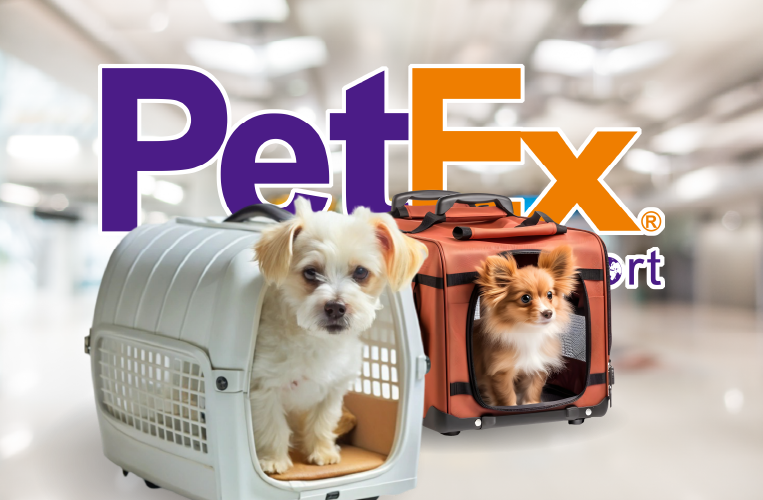 整合官網＋SEO流量操作，穩定取得搜尋客源